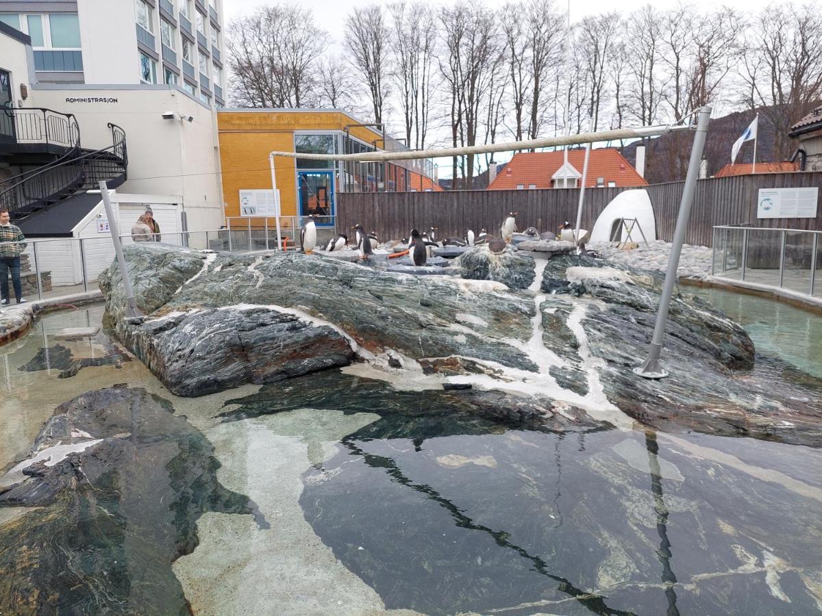 Bergen City Center Apartment Экстерьер фото
